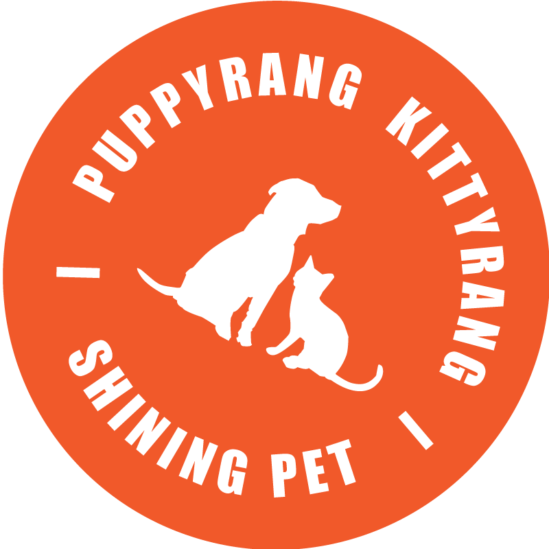 SHINING PET